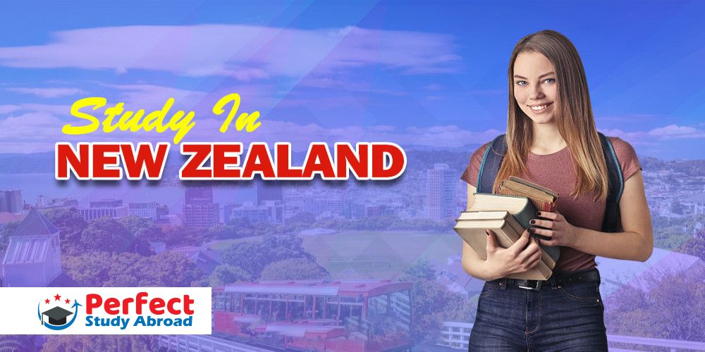 Study in New Zealand