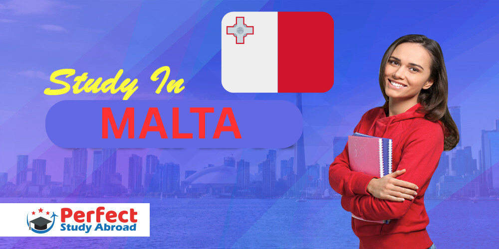 Study in MALTA